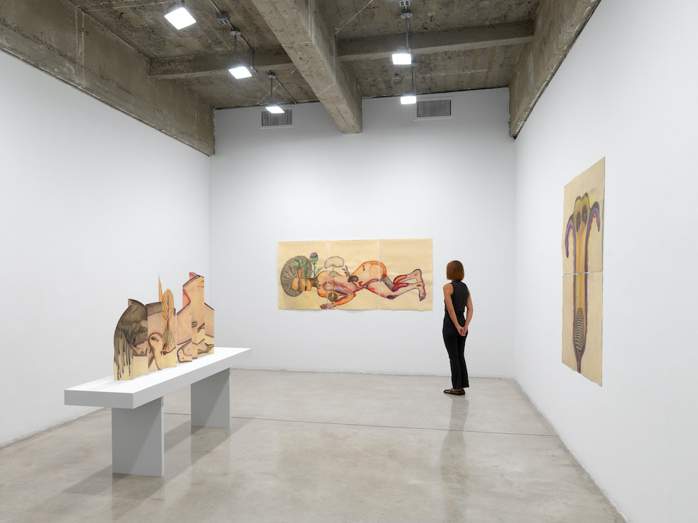 Sandra Vásquez de la Horra Tanya Bonakdar Gallery 