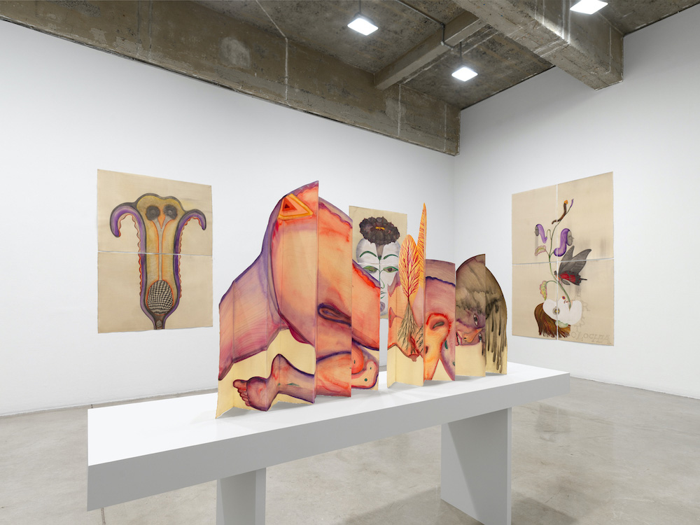 Sandra Vásquez de la Horra Tanya Bonakdar Gallery 