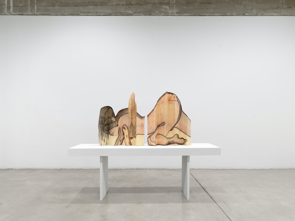 Sandra Vásquez de la Horra Tanya Bonakdar Gallery 