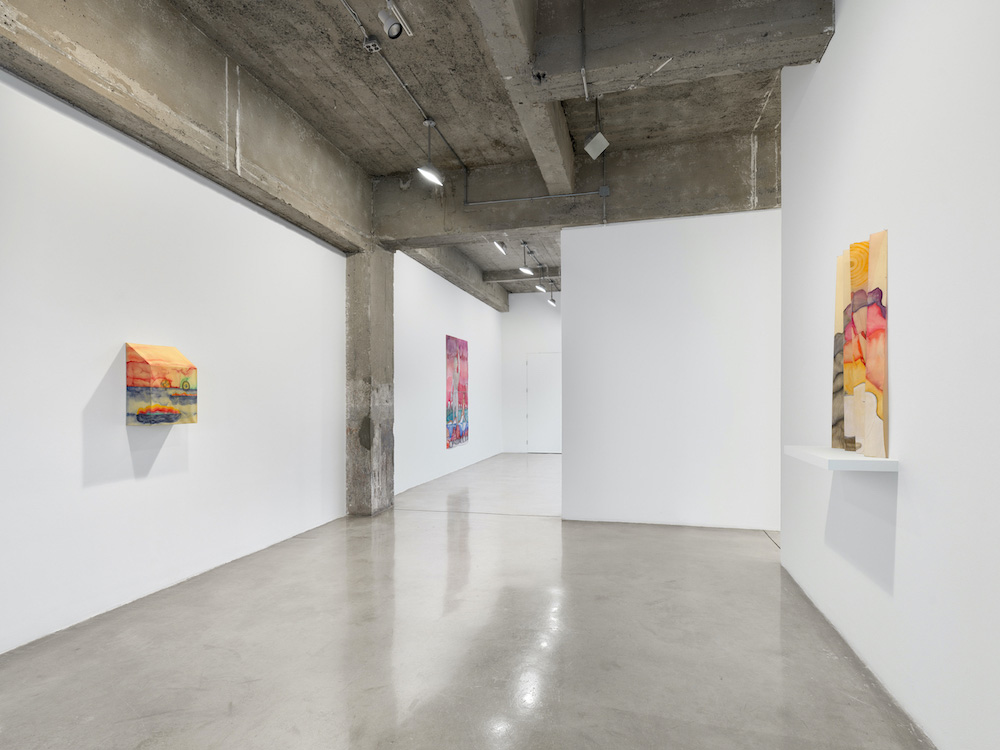 Sandra Vásquez de la Horra Tanya Bonakdar Gallery 