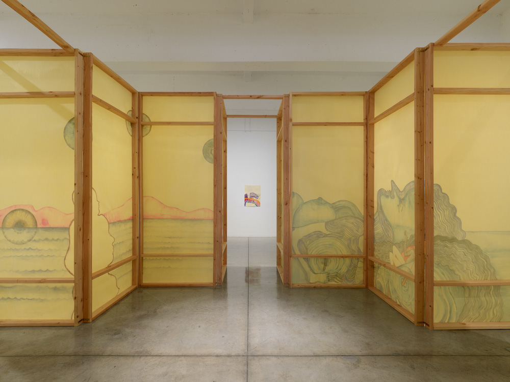 Sandra Vásquez de la Horra Tanya Bonakdar Gallery 