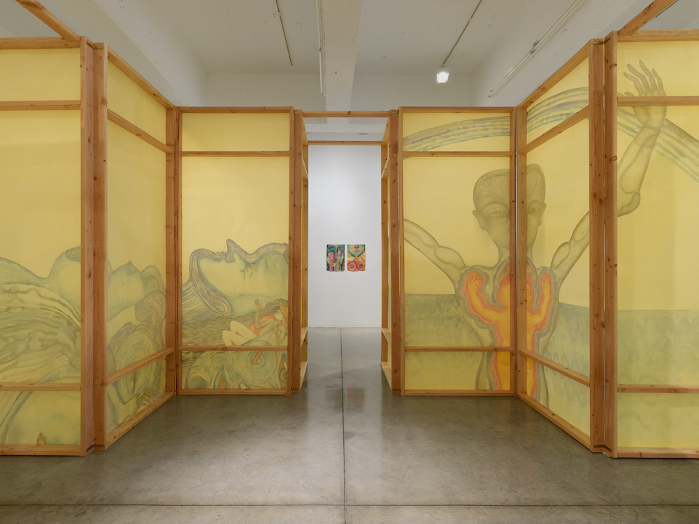 Sandra Vásquez de la Horra Tanya Bonakdar Gallery 