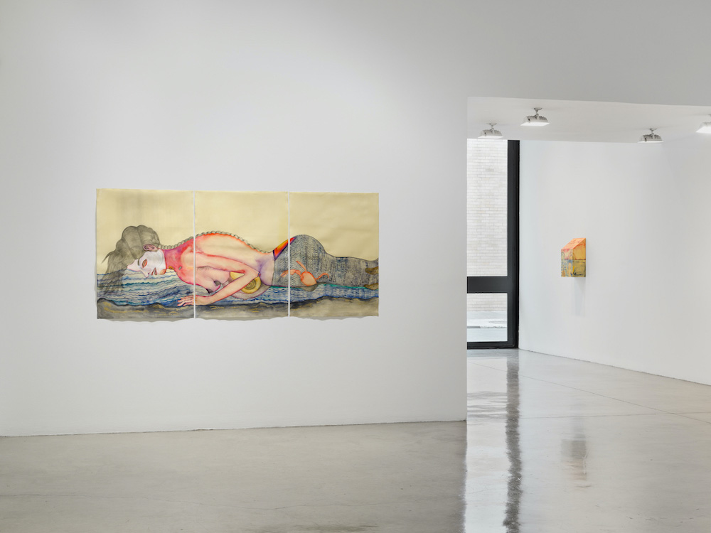 Sandra Vásquez de la Horra Tanya Bonakdar Gallery 