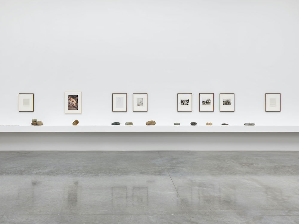 Gabriel Orozco White Cube 