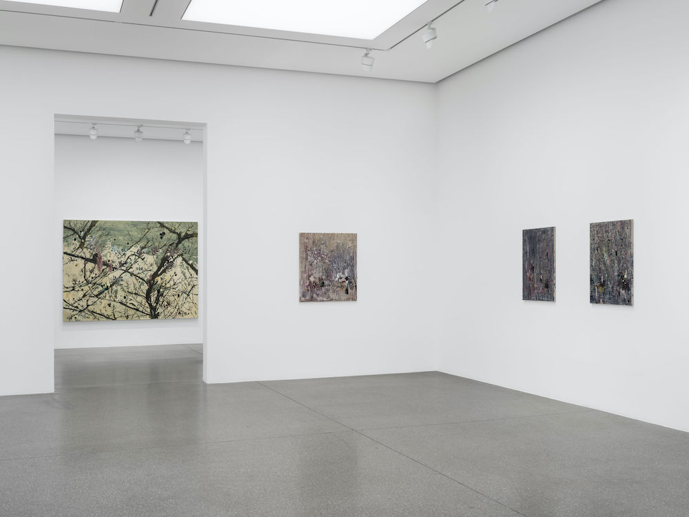 Marina Rheingantz White Cube 