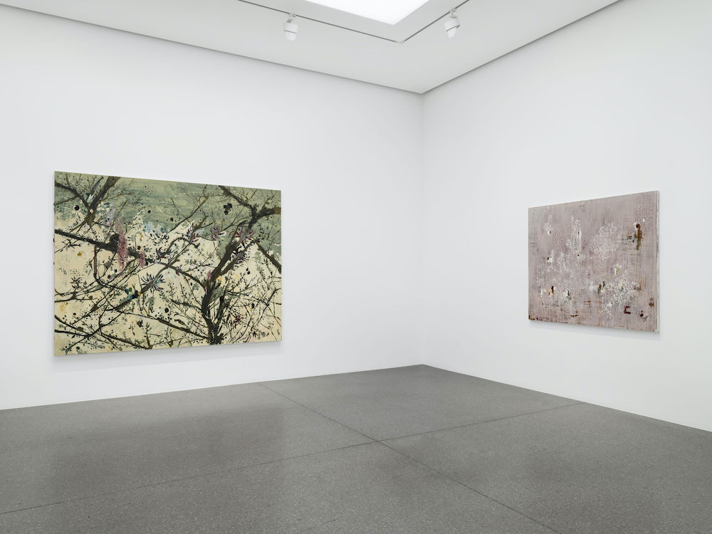 Marina Rheingantz White Cube 
