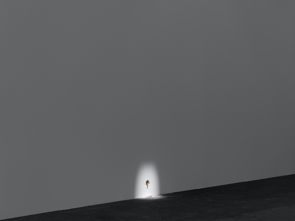 Ryan Gander Lisson Gallery 
