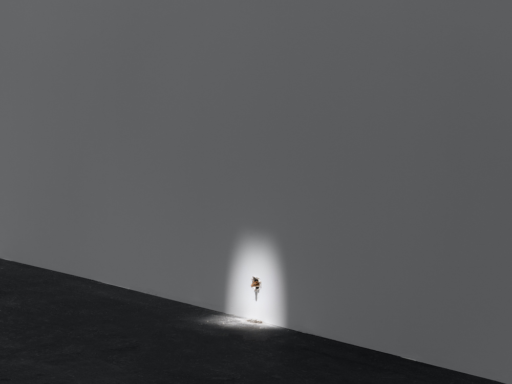 Ryan Gander Lisson Gallery 