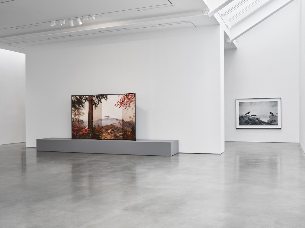 Hiroshi Sugimoto Lisson Gallery 