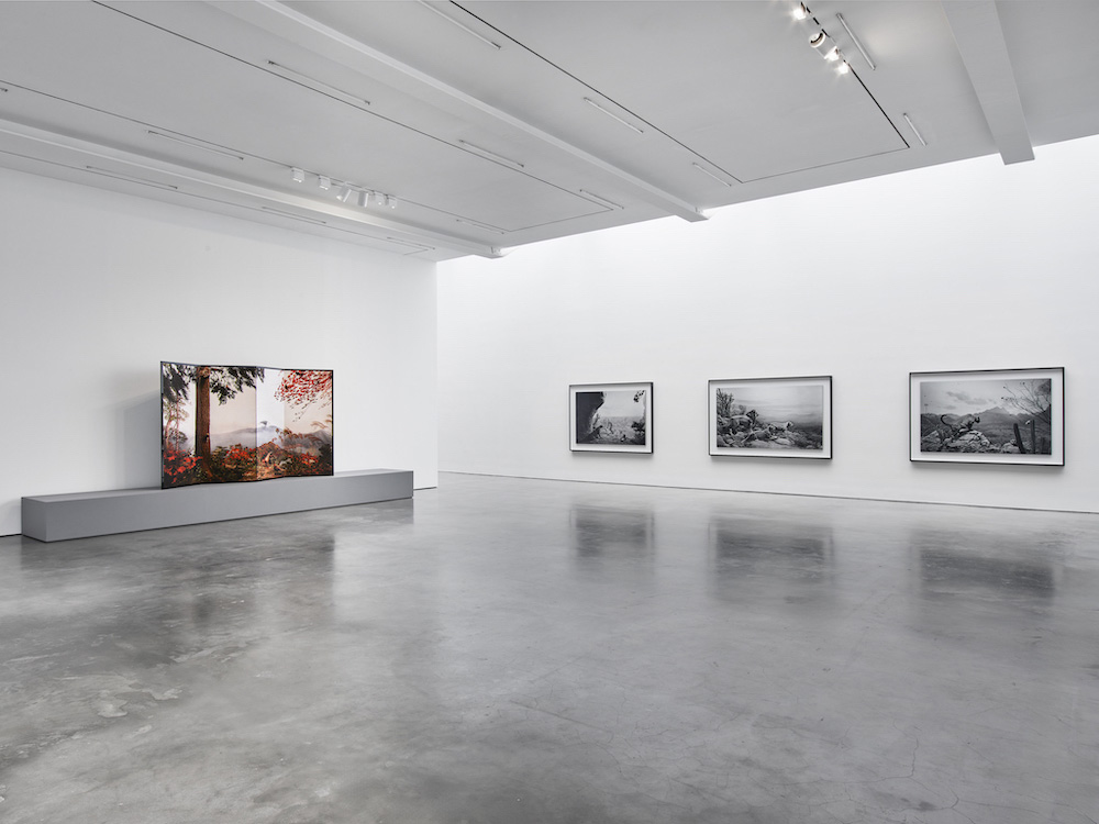 Hiroshi Sugimoto Lisson Gallery 