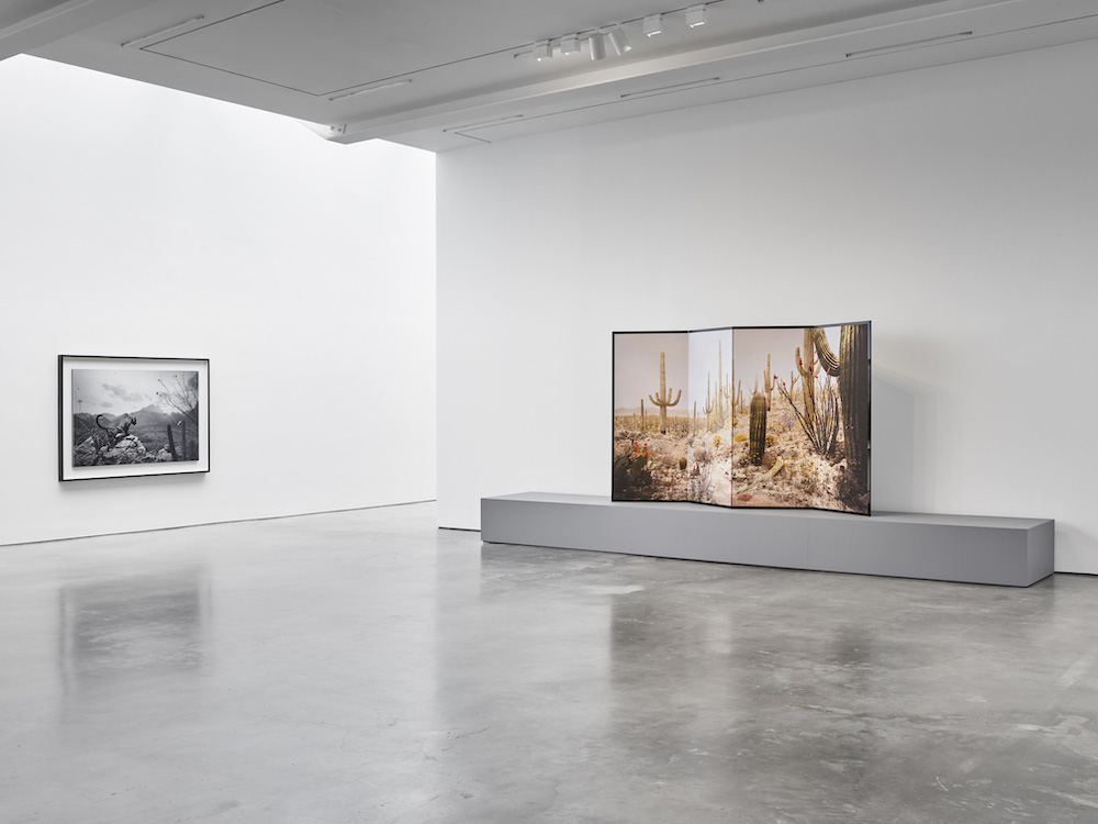 Hiroshi Sugimoto Lisson Gallery 