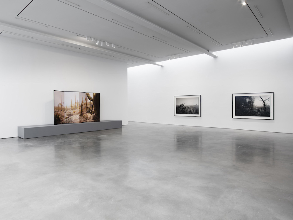 Hiroshi Sugimoto Lisson Gallery 