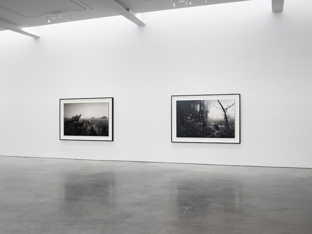 Hiroshi Sugimoto Lisson Gallery 