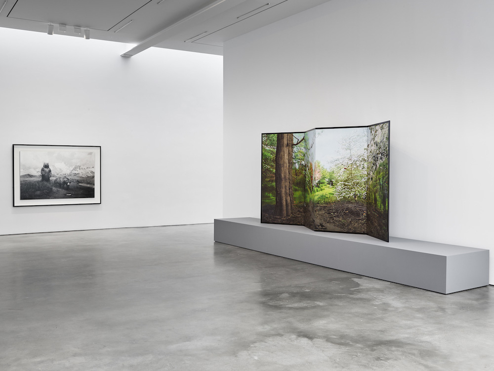 Hiroshi Sugimoto Lisson Gallery 