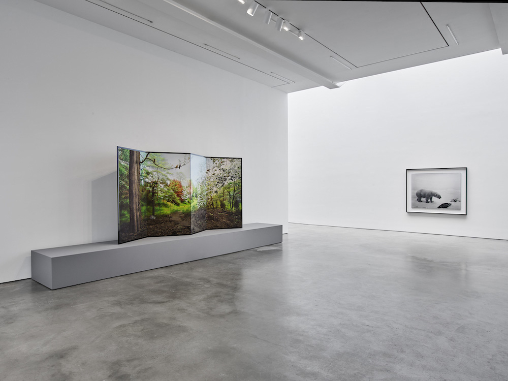 Hiroshi Sugimoto Lisson Gallery 