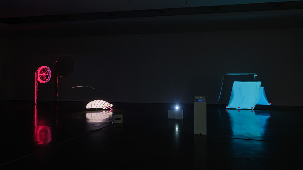 Alex Hubbard Regen Projects 