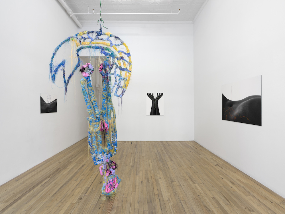  Andrew Kreps Gallery 