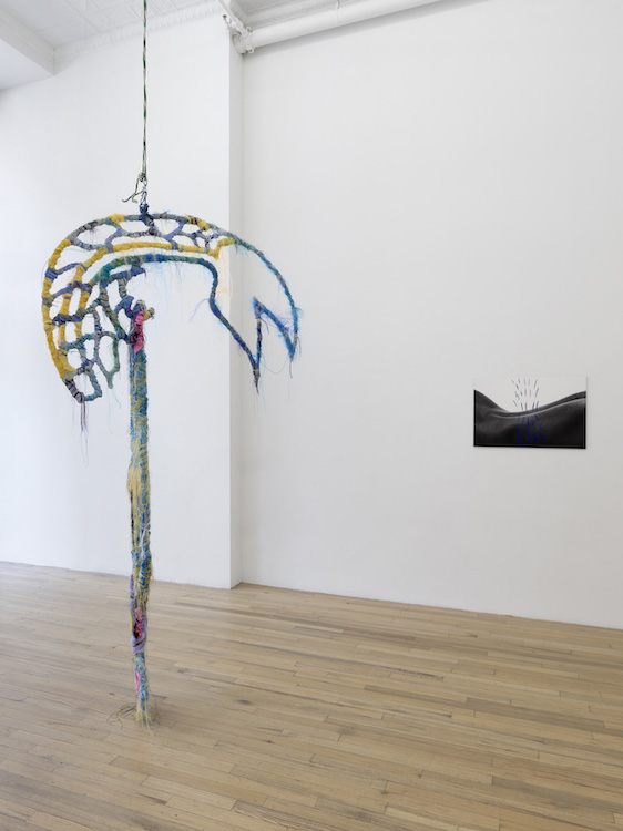  Andrew Kreps Gallery 