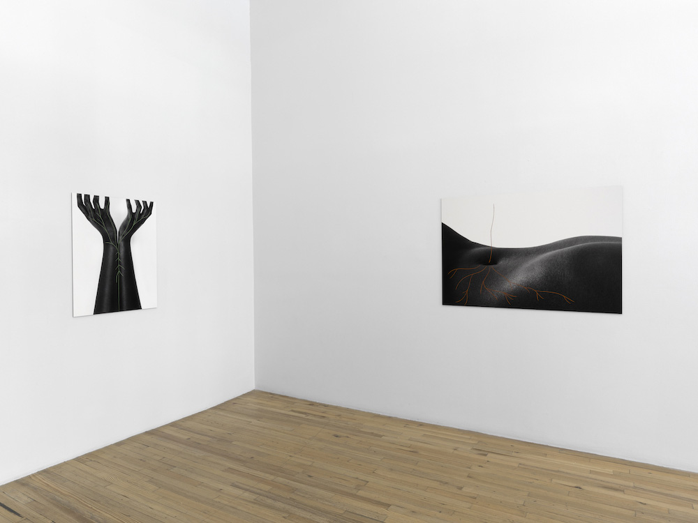  Andrew Kreps Gallery 