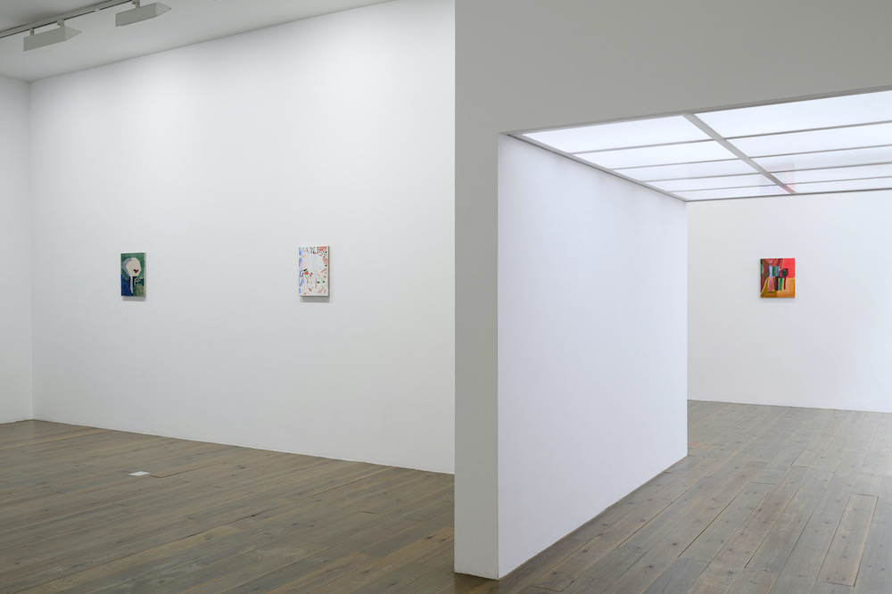 Paul Drissen Slewe Gallery 