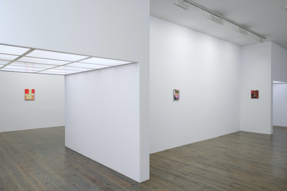 Paul Drissen Slewe Gallery 