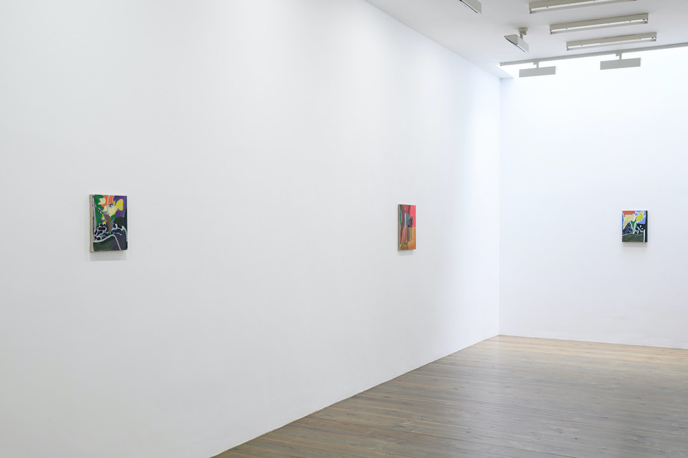 Paul Drissen Slewe Gallery 