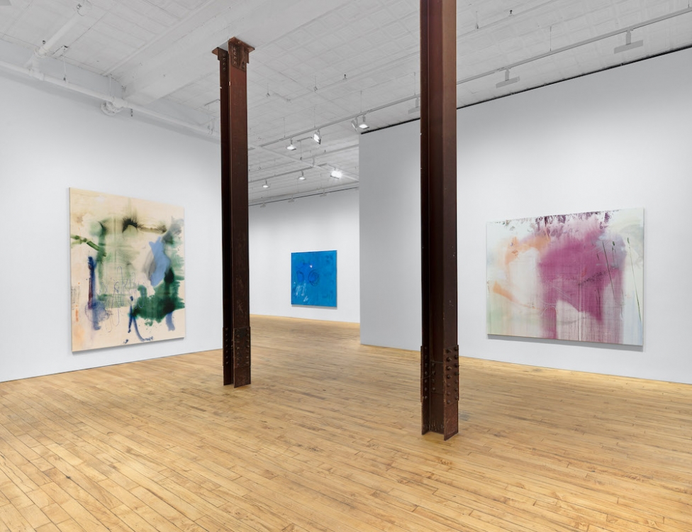 Emma McIntyre David Zwirner 