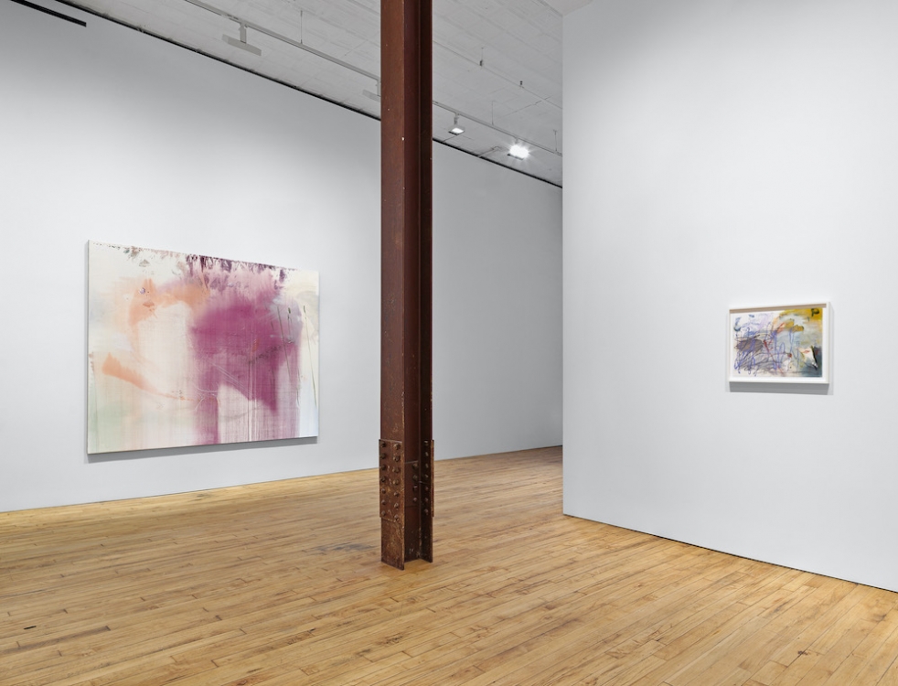 Emma McIntyre David Zwirner 