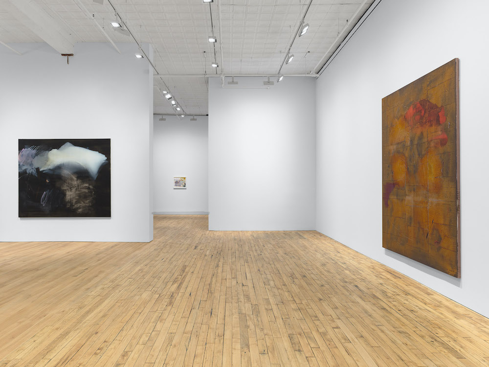Emma McIntyre David Zwirner 