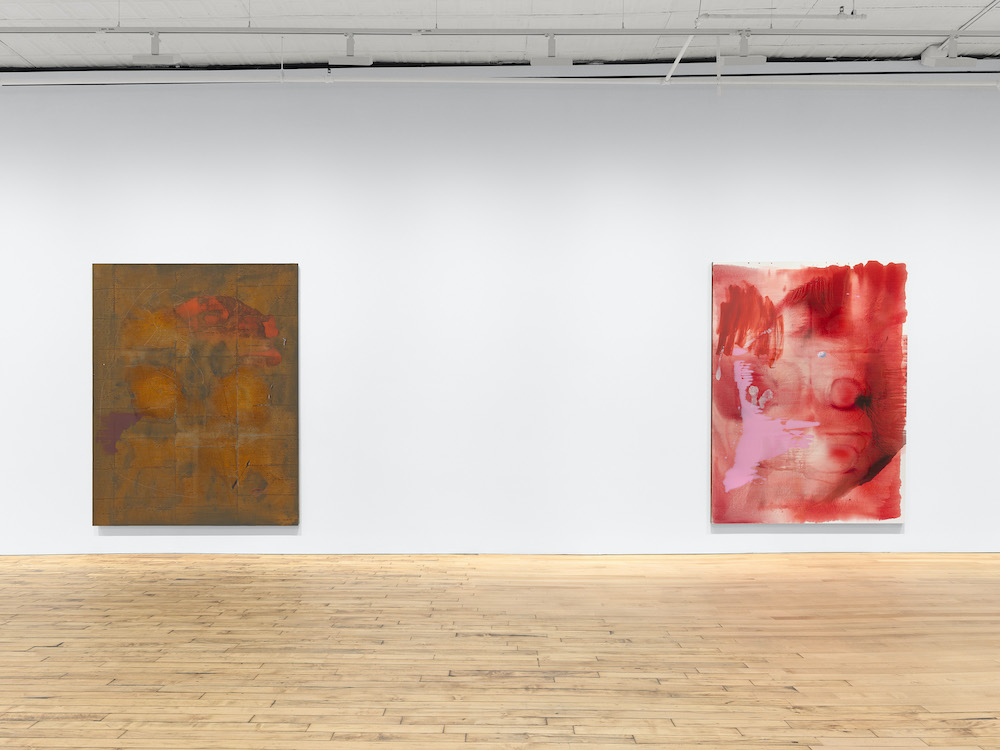 Emma McIntyre David Zwirner 