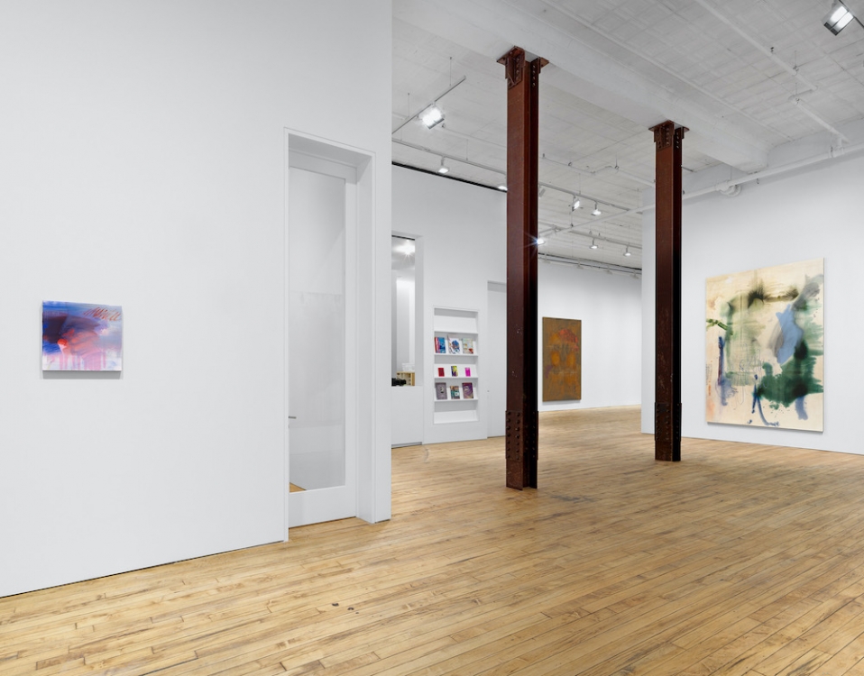 Emma McIntyre David Zwirner 