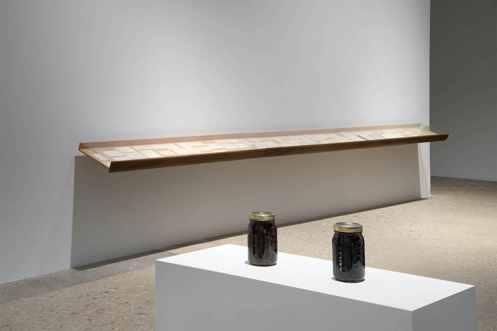 Tony Conrad Greene Naftali 