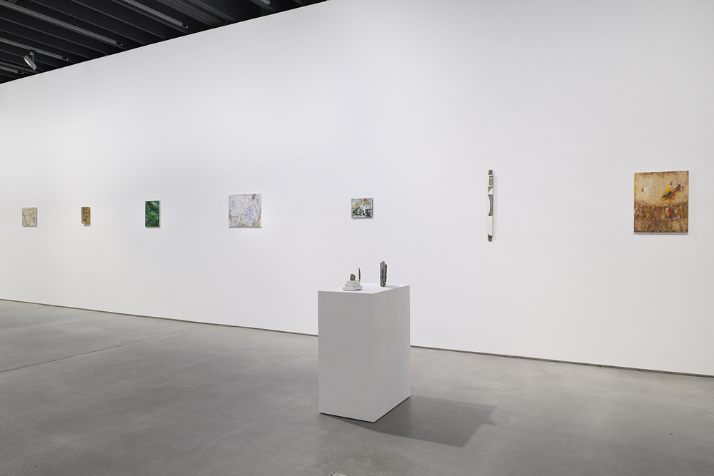 Peter Acheson Anton Kern Gallery 