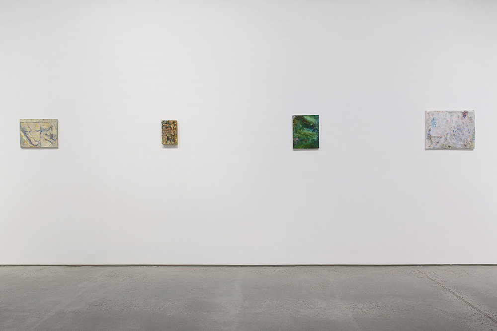 Peter Acheson Anton Kern Gallery 