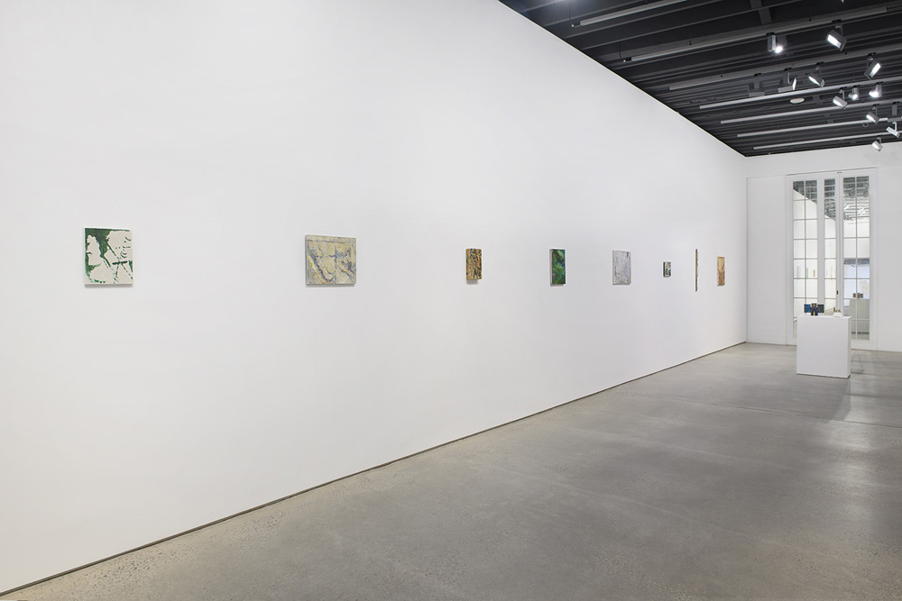 Peter Acheson Anton Kern Gallery 