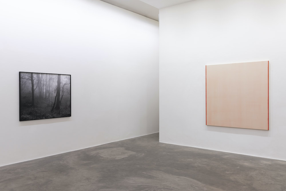  Kerlin Gallery 