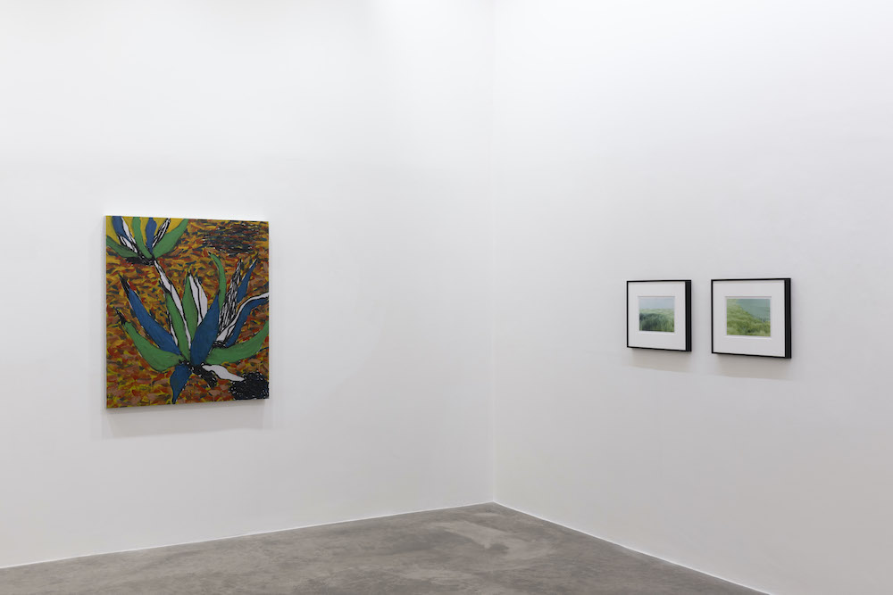  Kerlin Gallery 