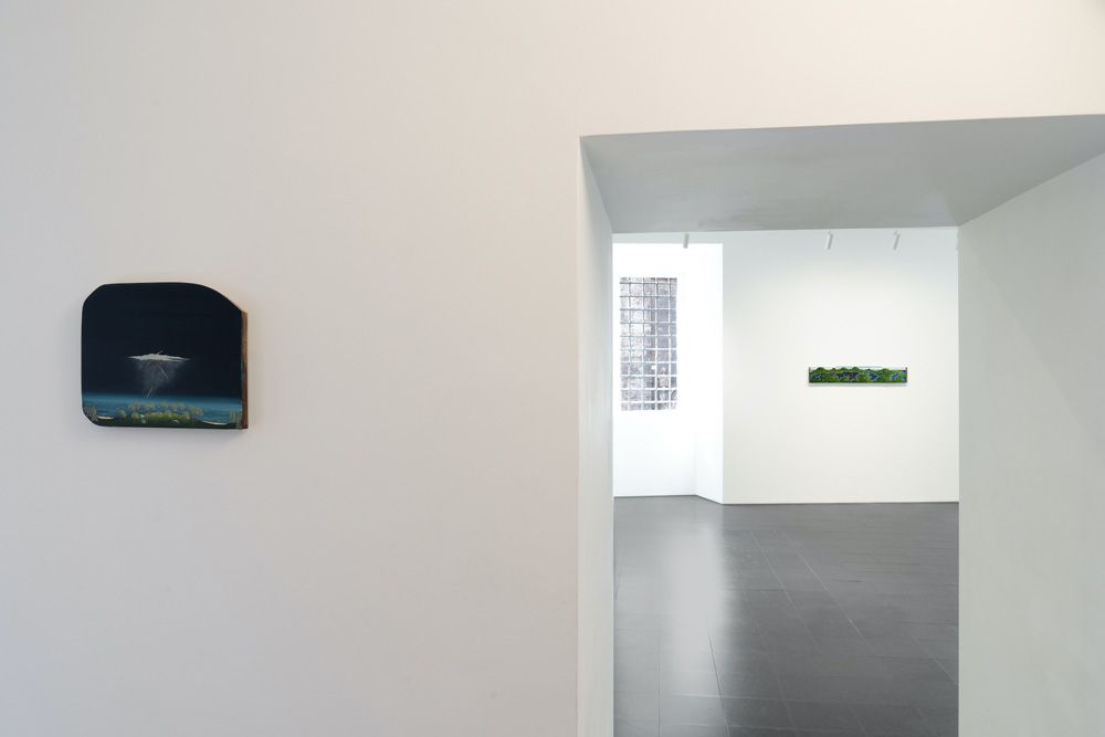 Eline Vansteenkiste Tim Van Laere Gallery 