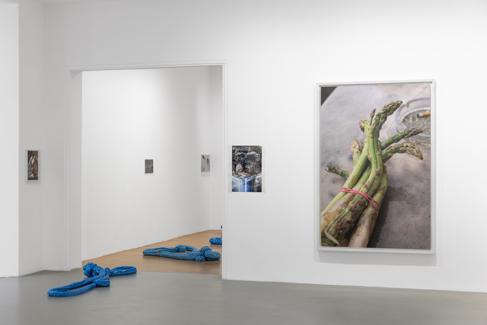 Wolfgang Tillmans Galerie Chantal Crousel 