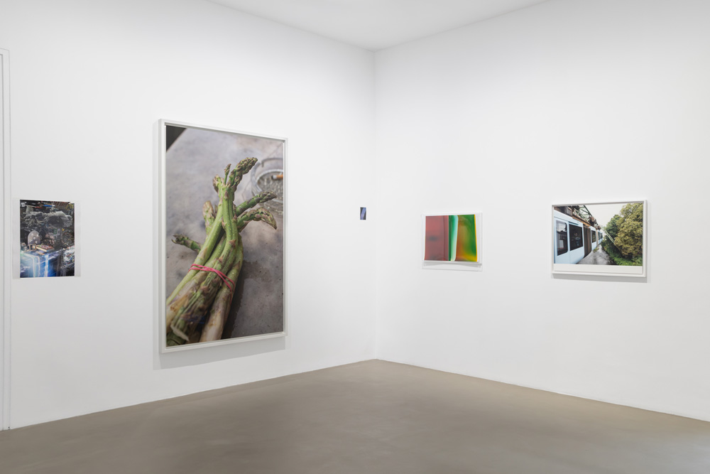 Wolfgang Tillmans Galerie Chantal Crousel 