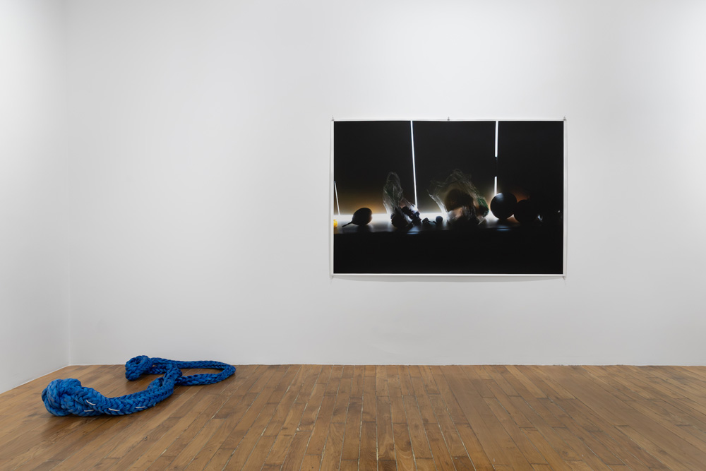 Wolfgang Tillmans Galerie Chantal Crousel 