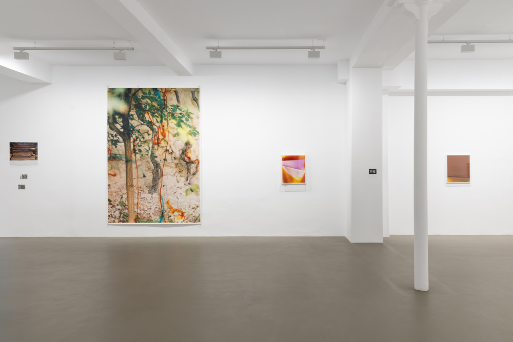 Wolfgang Tillmans Galerie Chantal Crousel 