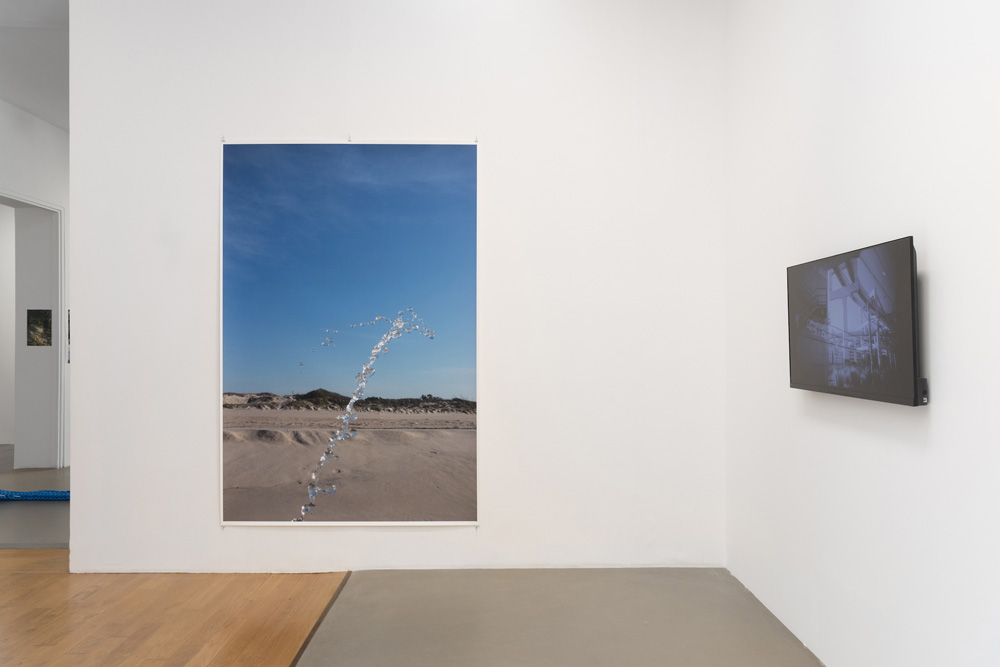 Wolfgang Tillmans Galerie Chantal Crousel 