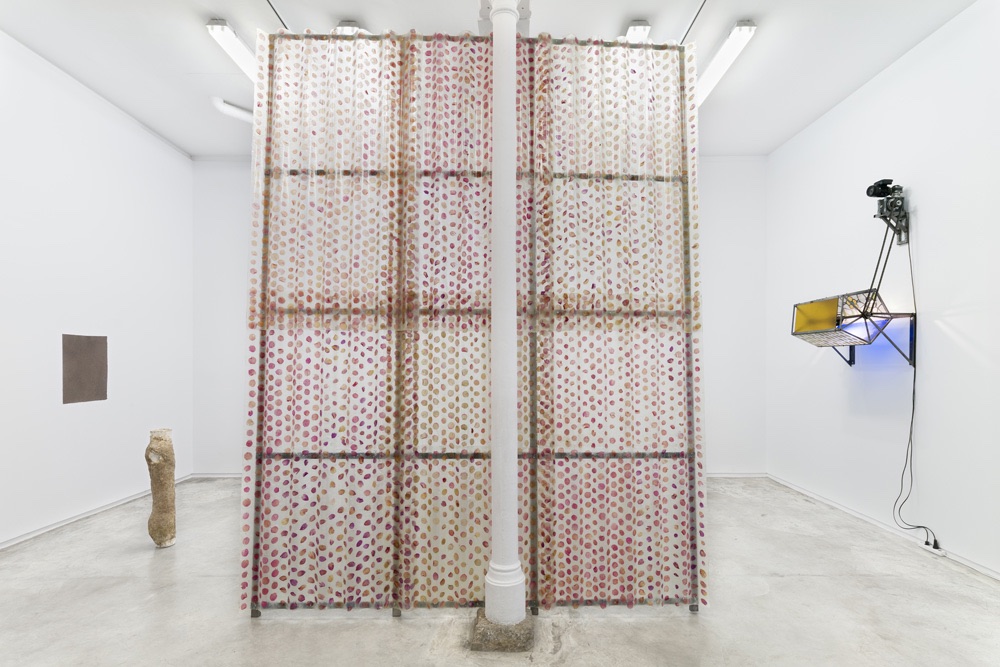 David Bestué Galería Ehrhardt Flórez 