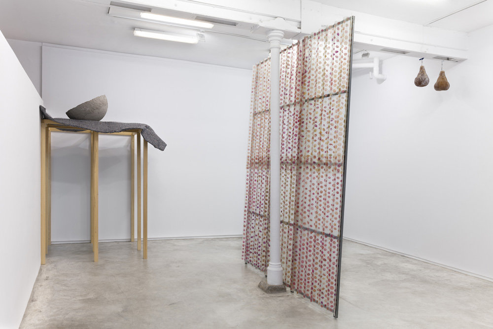 David Bestué Galería Ehrhardt Flórez 
