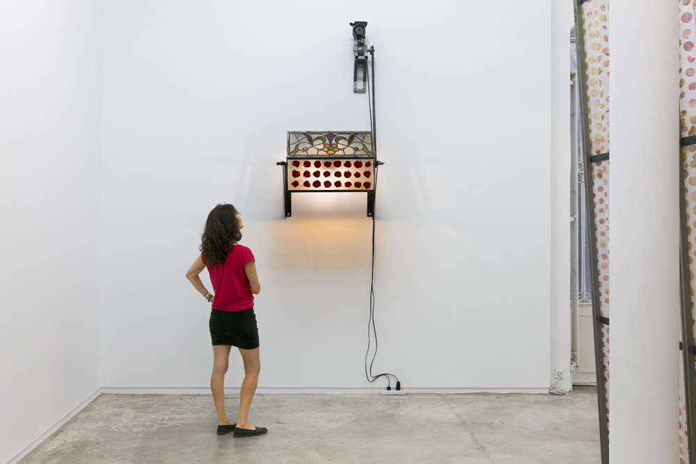 David Bestué Galería Ehrhardt Flórez 