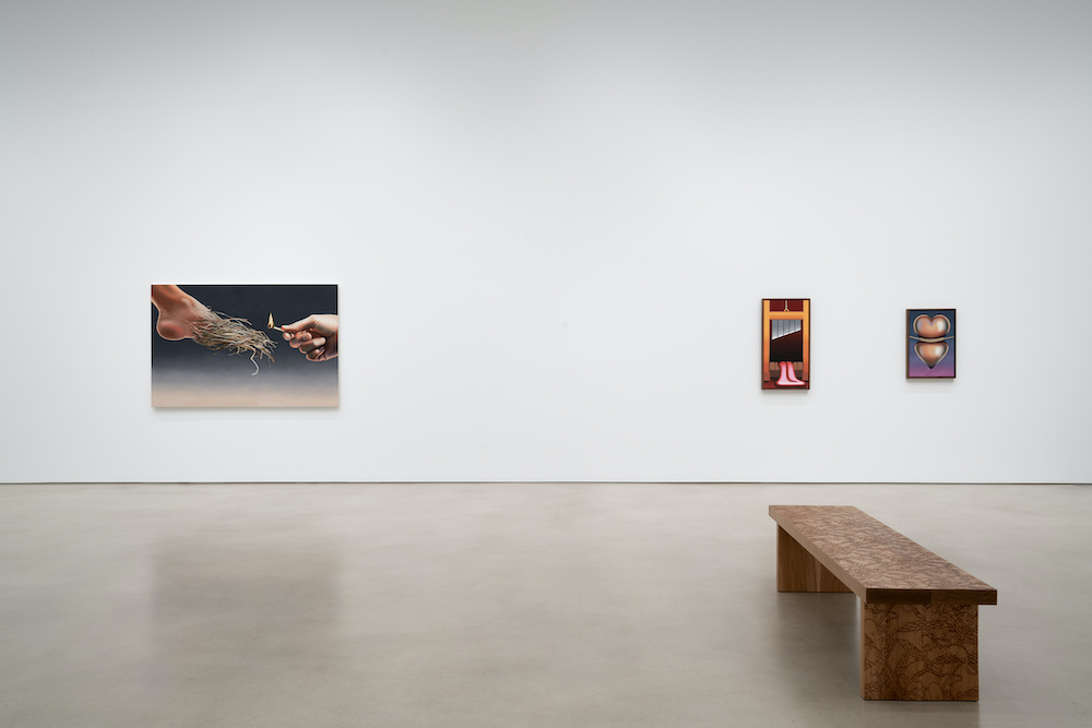 Emily Mae Smith Petzel Gallery 