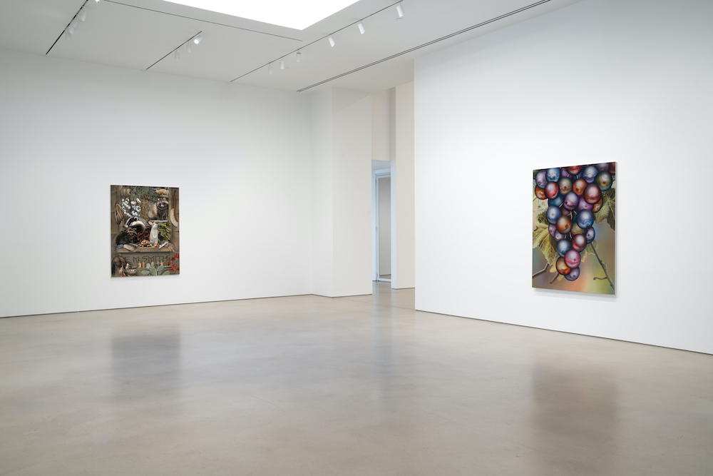 Emily Mae Smith Petzel Gallery 