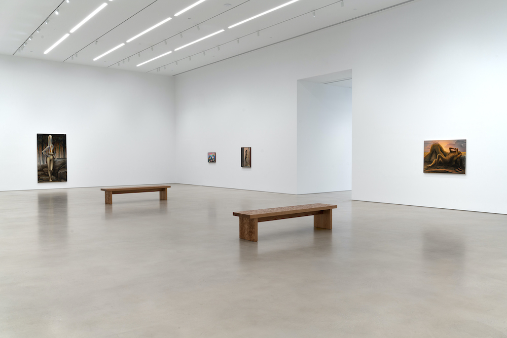 Emily Mae Smith Petzel Gallery 