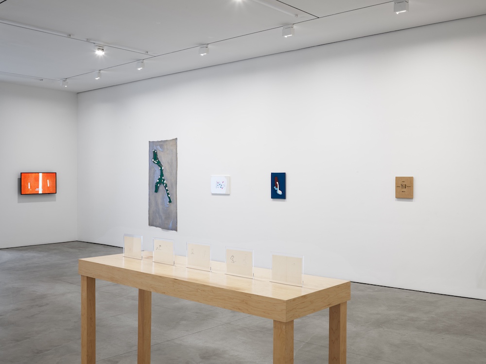 Leonilson Lisson Gallery 